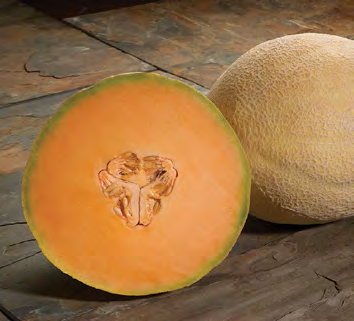 ATLANTIS Melon Seeds