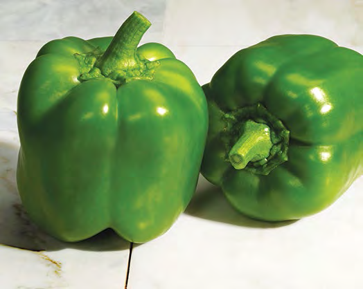 CLASSIC Bell Pepper Seeds