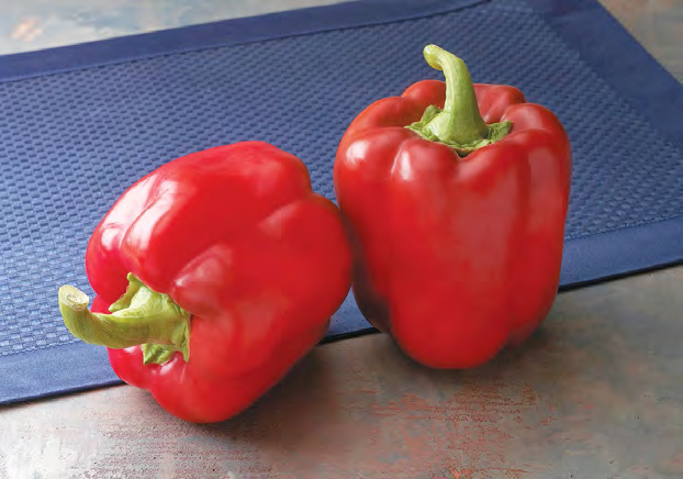 TOUCHDOWN Bell Pepper Seeds